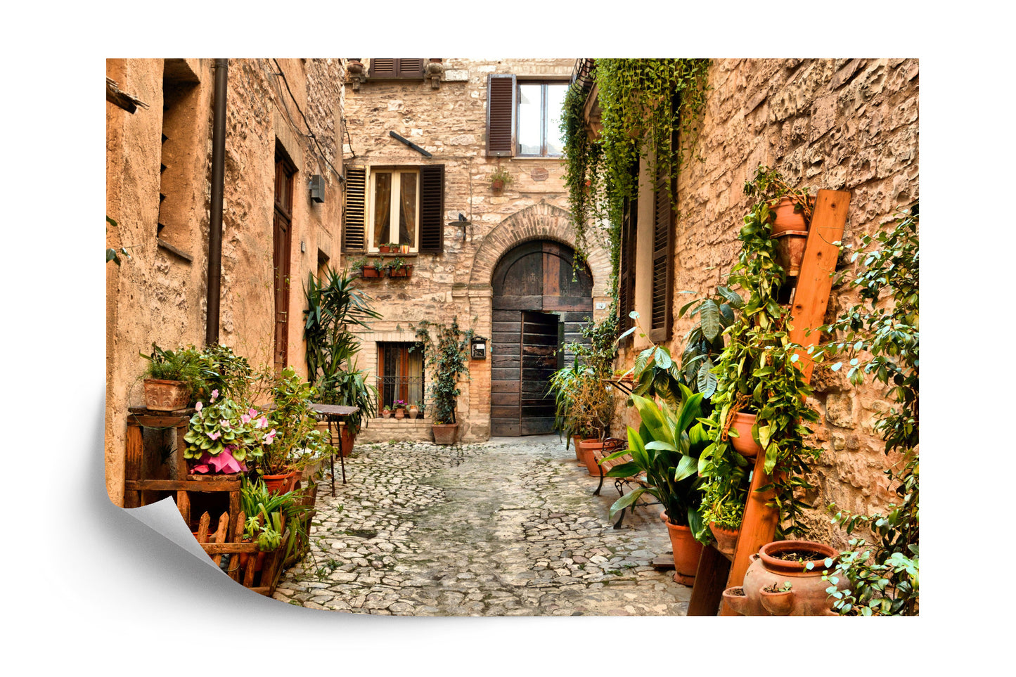 Fototapete Gasse Blumen