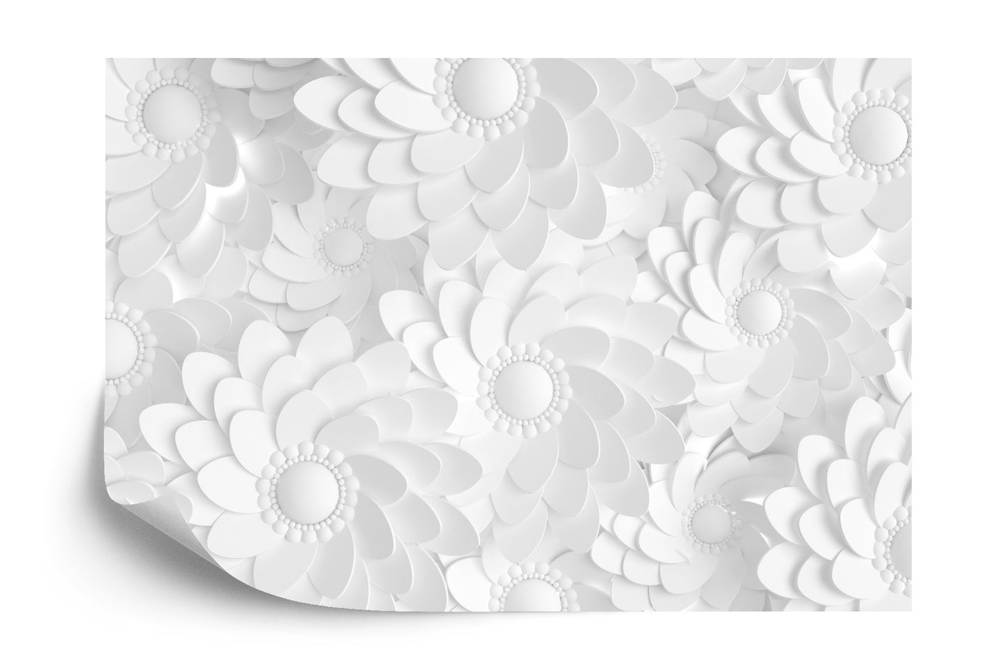 Fototapete Beautiful, Elegant Paper Flower In The Style Of Hand-Made On A White Wall. 3D , 3D Rendering.