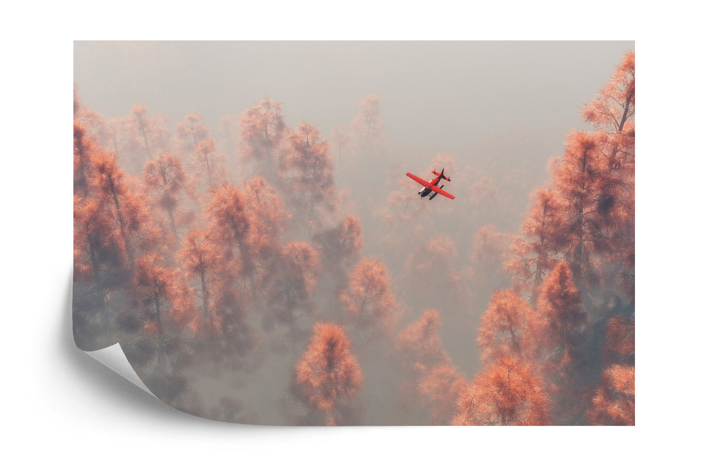 Fototapete Wald Im Nebel