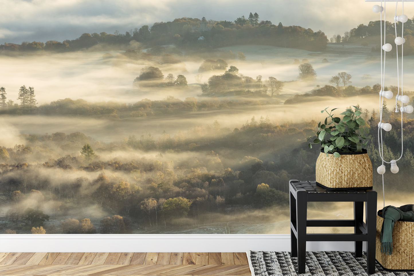 Fototapete Wald Im Nebel