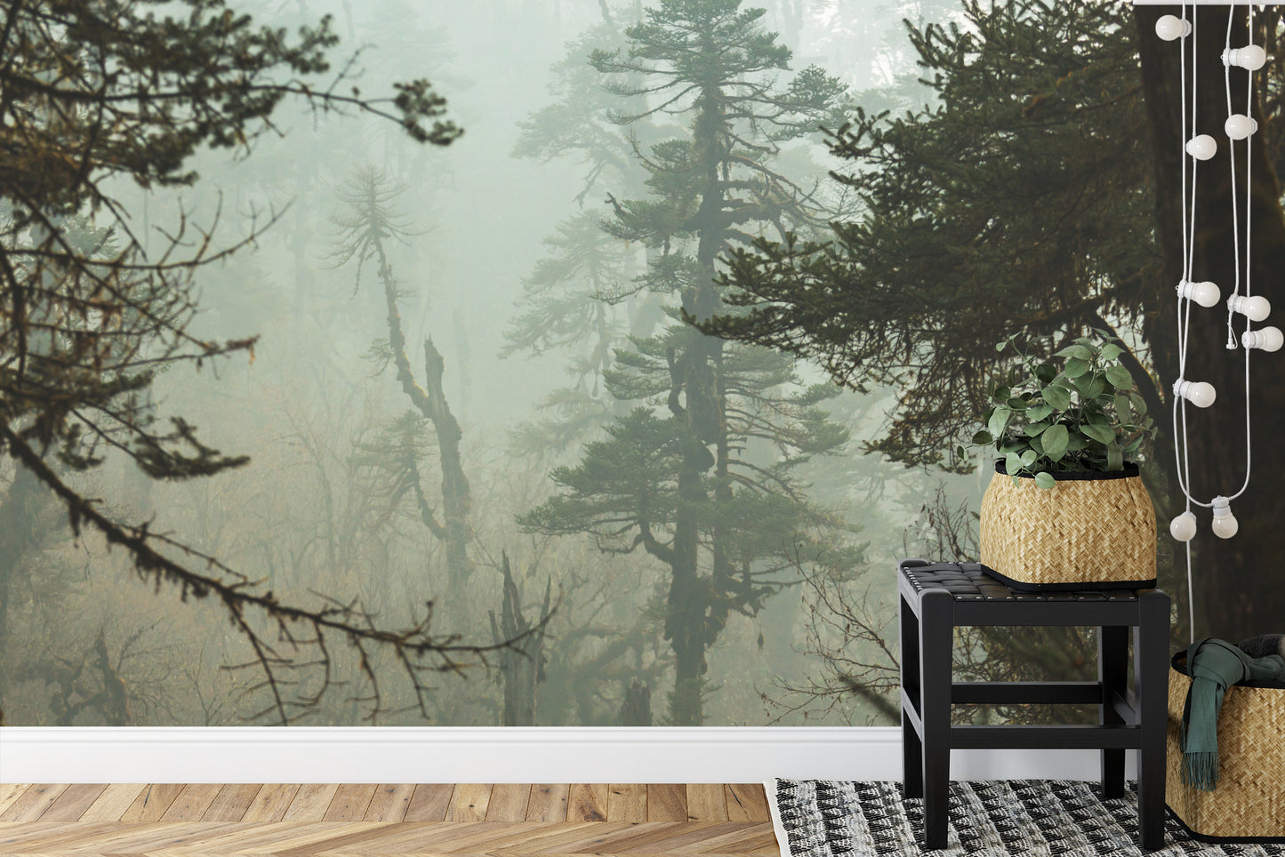 Fototapete Wald Im Nebel