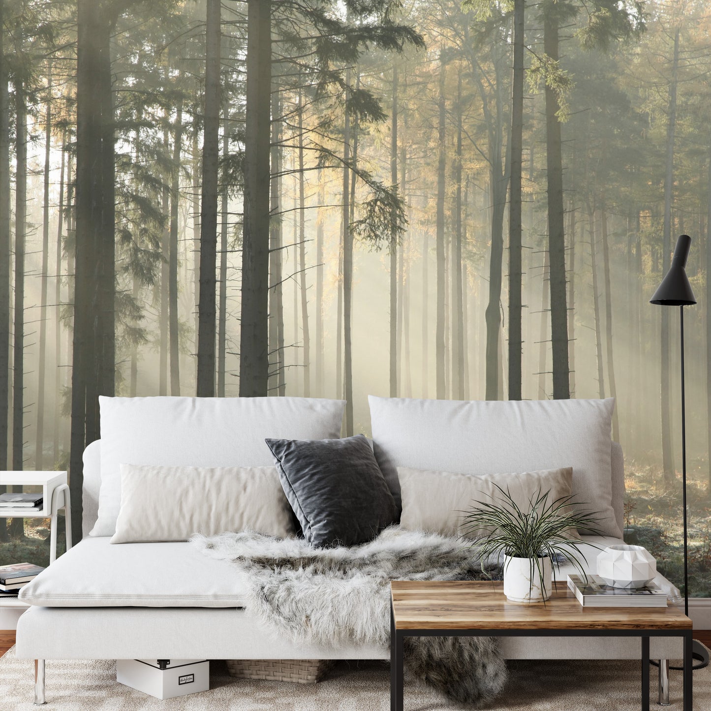 Fototapete Wald Bäume Nebel