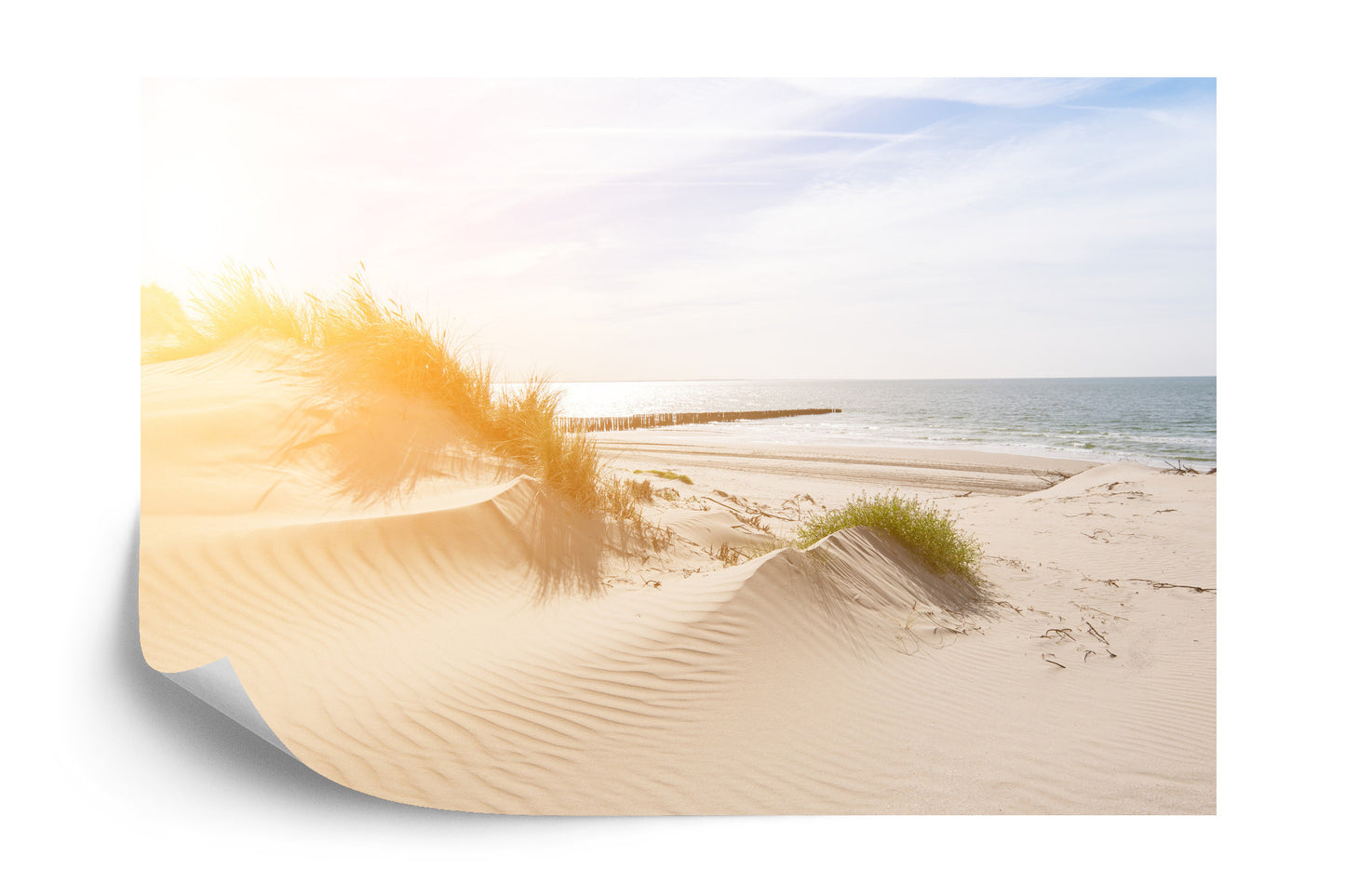 Fototapete Strand Meer Dünen