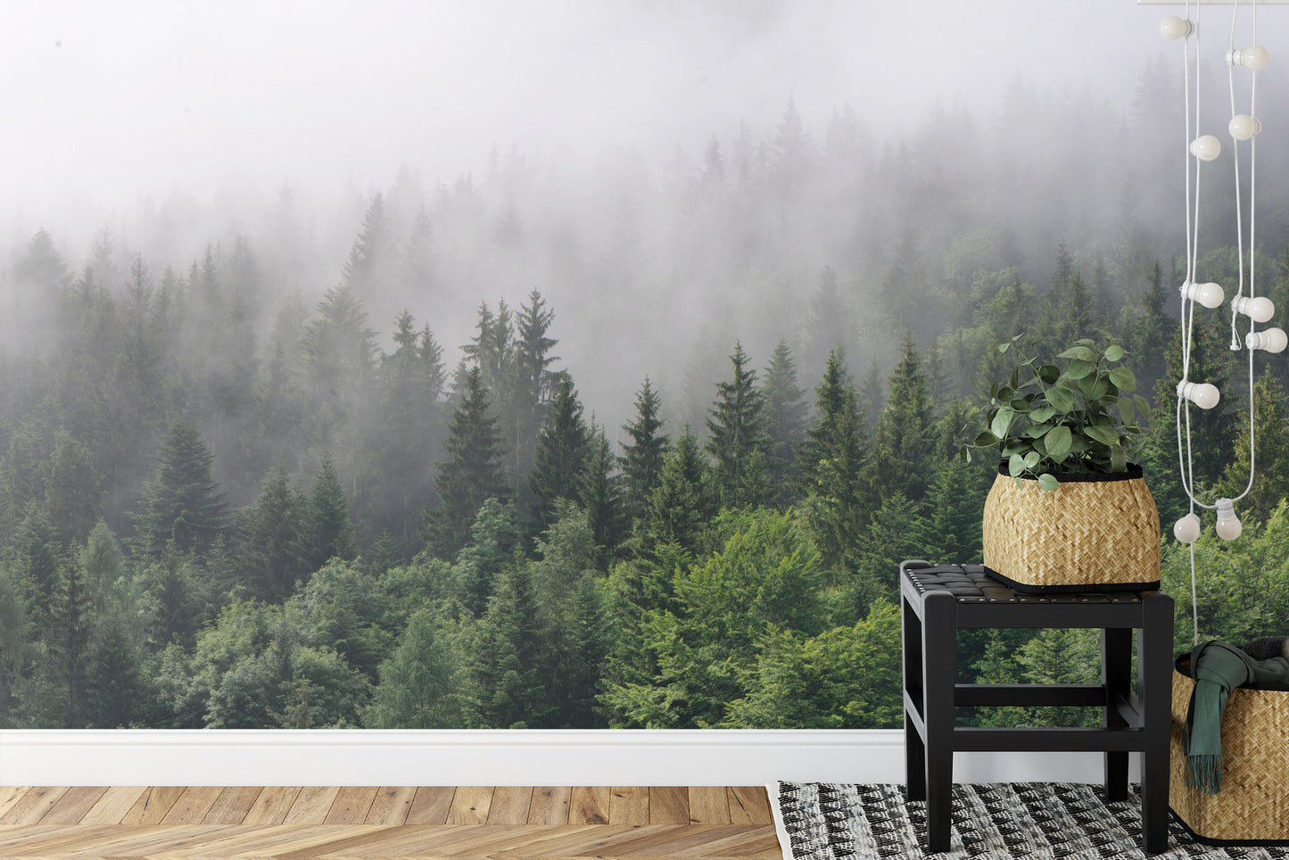 Fototapete Bäume Im Nebel