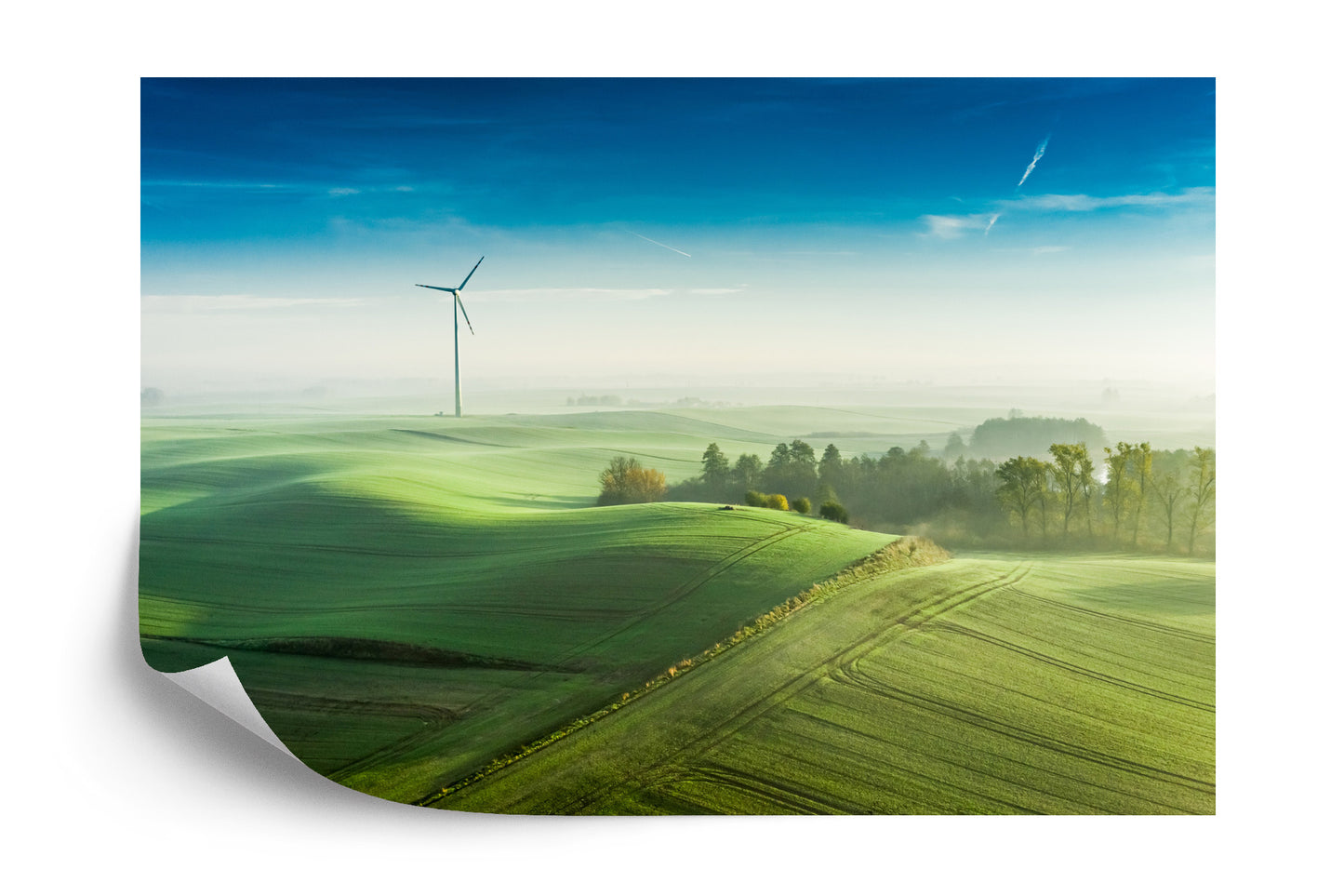 Fototapete Luftaufnahme Einer Grünen Wiese 3D