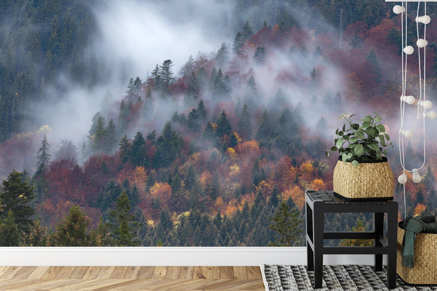Fototapete Herbstwald Im Schönen Nebel