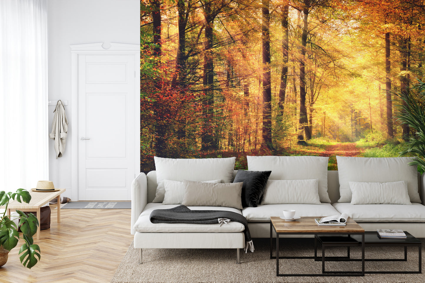 Fototapete Wald Herbstfarben