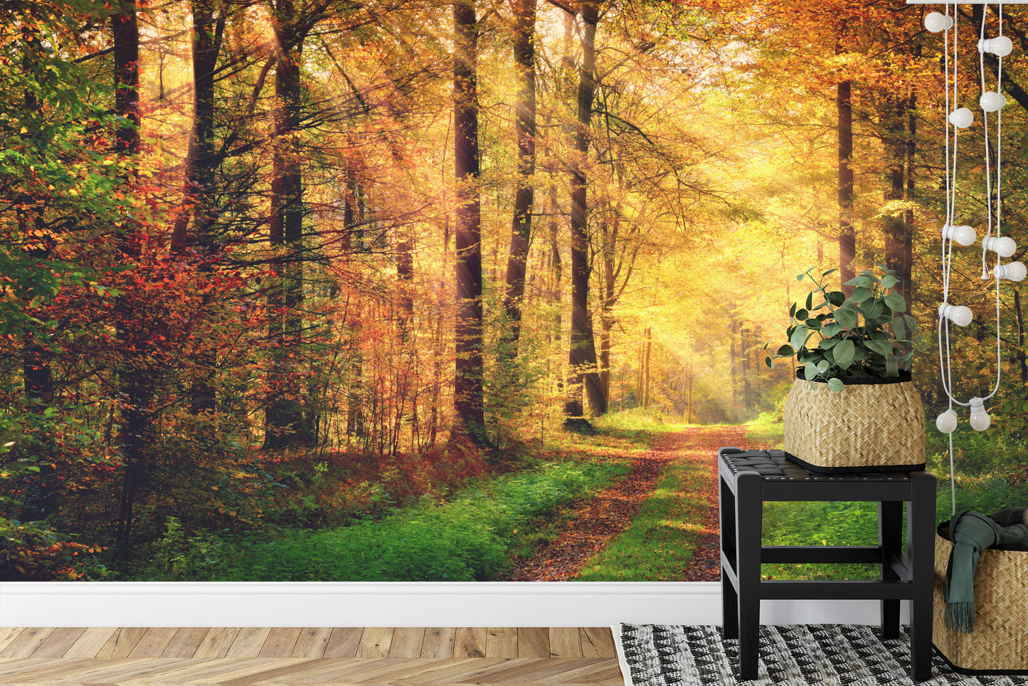 Fototapete Wald Herbstfarben