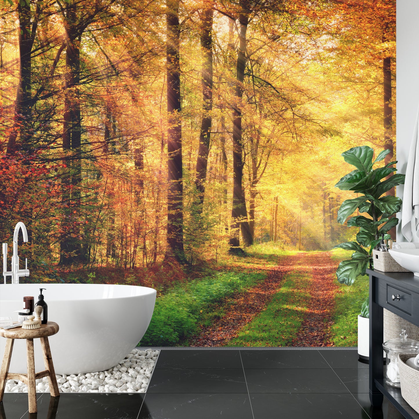 Fototapete Wald Herbstfarben