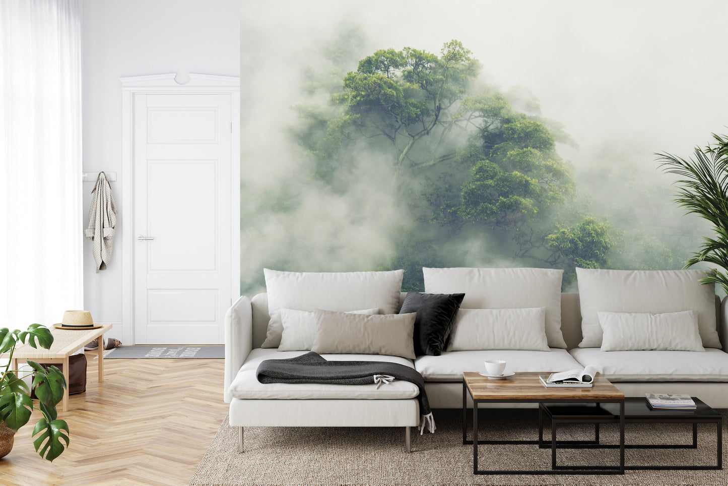 Fototapete Tropical Forest In Japan, Nature Jungle With Green Tree And Fog, Concept Of Zin Therapy Comfortable Freedom Relaxing For Spa And Yoga, Eco Natural Sustainable Conservation