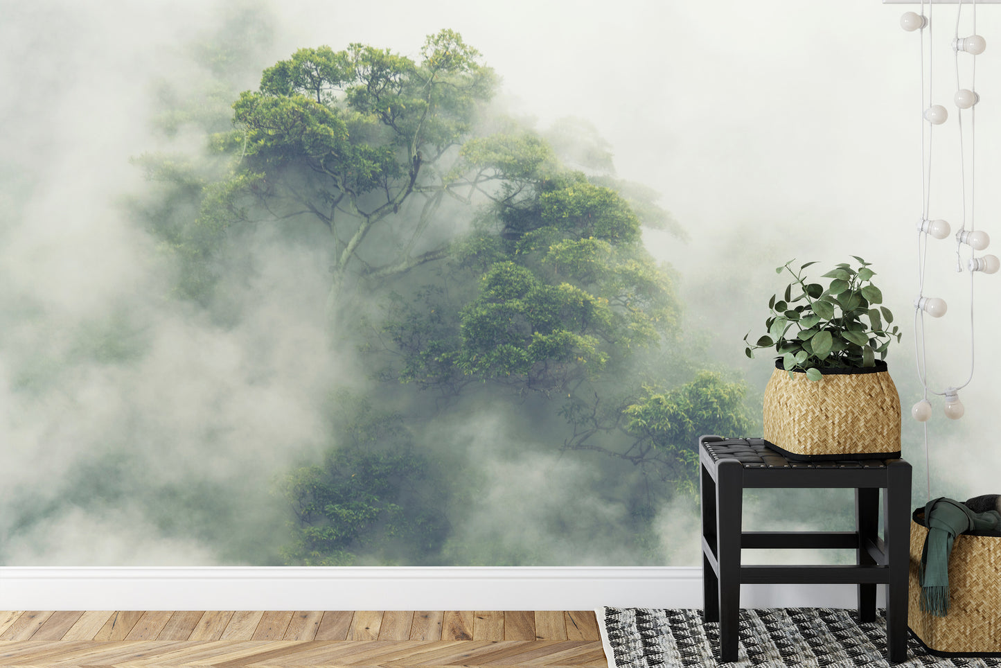 Fototapete Tropical Forest In Japan, Nature Jungle With Green Tree And Fog, Concept Of Zin Therapy Comfortable Freedom Relaxing For Spa And Yoga, Eco Natural Sustainable Conservation