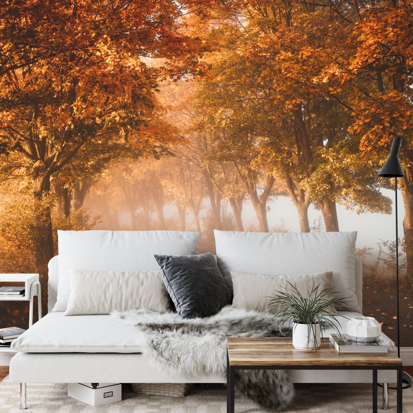 Fototapete Autumn Forest Road Leaves Fall In Ground Landscape . Colorful Foliage In The Park. Falling Leaves. Autumn Trees In The Fog