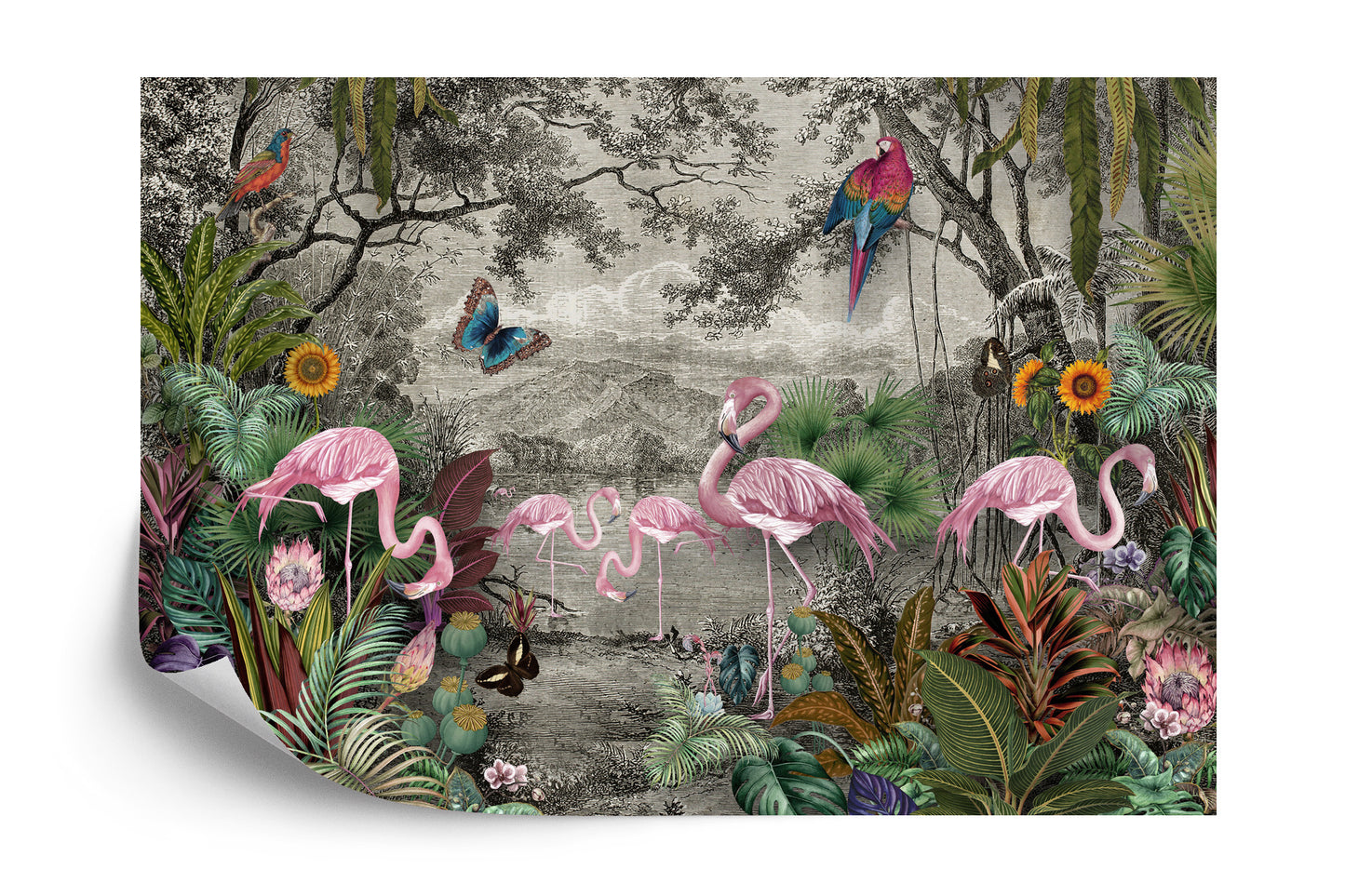 Fototapete Wallpaper Jungle And Tropical Forest Banana Palm And Tropical Birds, Old Drawing