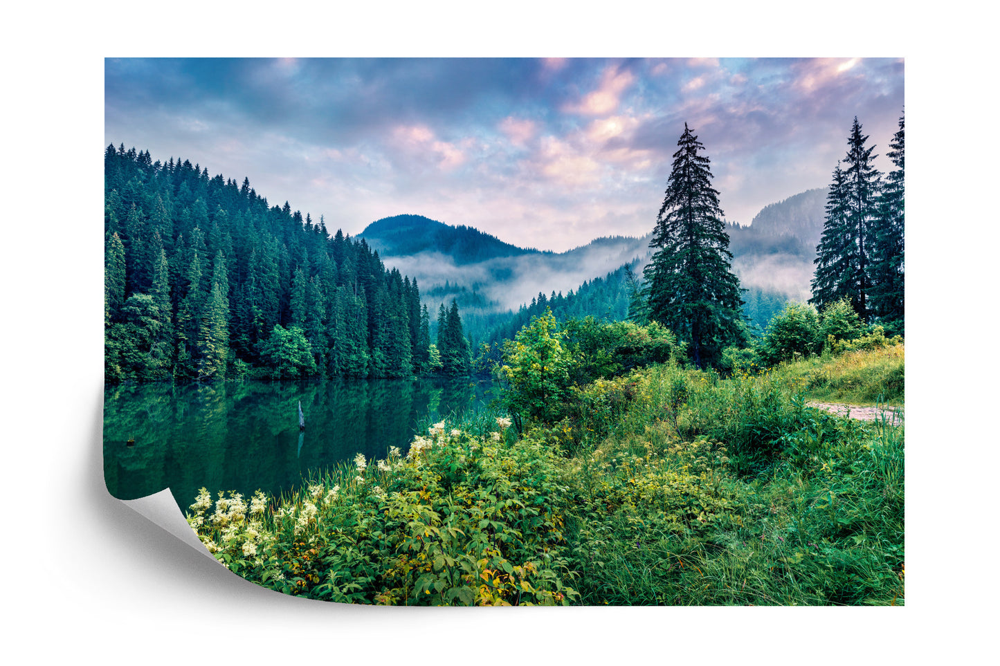 Fototapete Dramatic Morning Scene Of Lacu Rosu Lake. Misty Summer Sunrise In Harghita County, Romania, Europe. Beauty Of Nature Concept Background.
