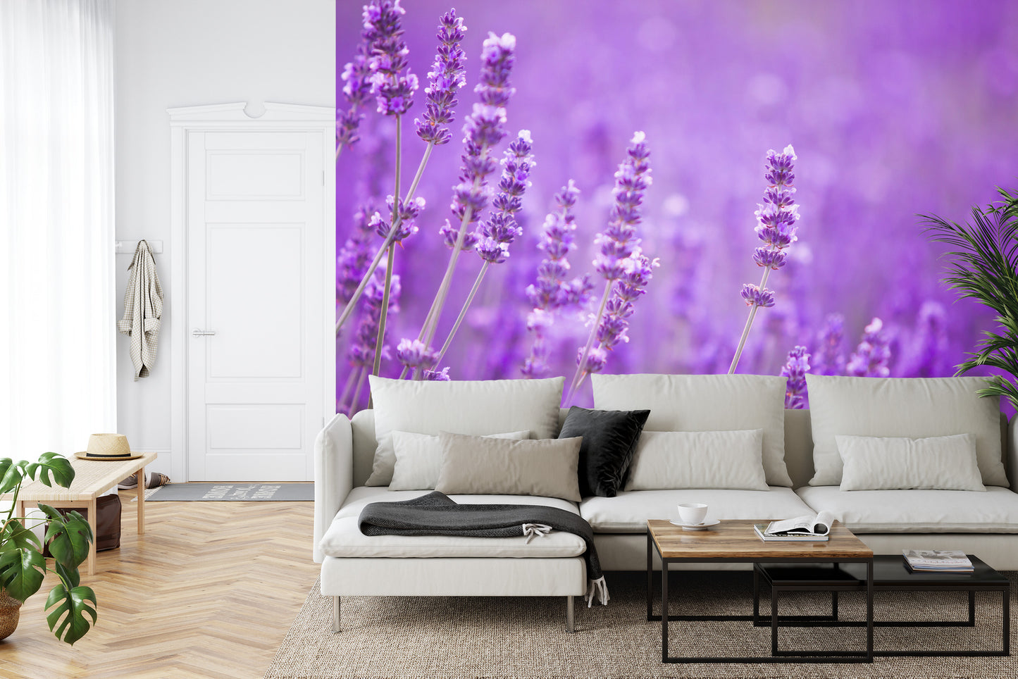 Fototapete Lavendel Blumen