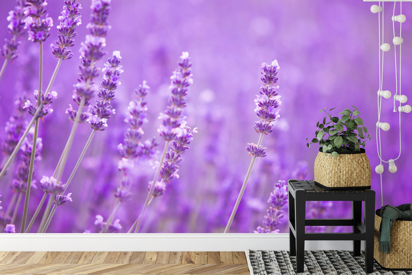 Fototapete Lavendel Blumen