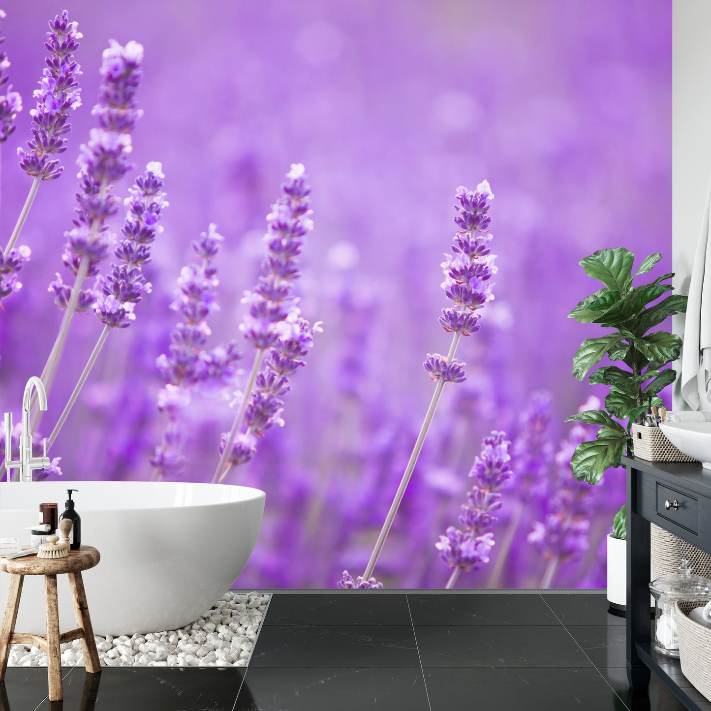 Fototapete Lavendel Blumen