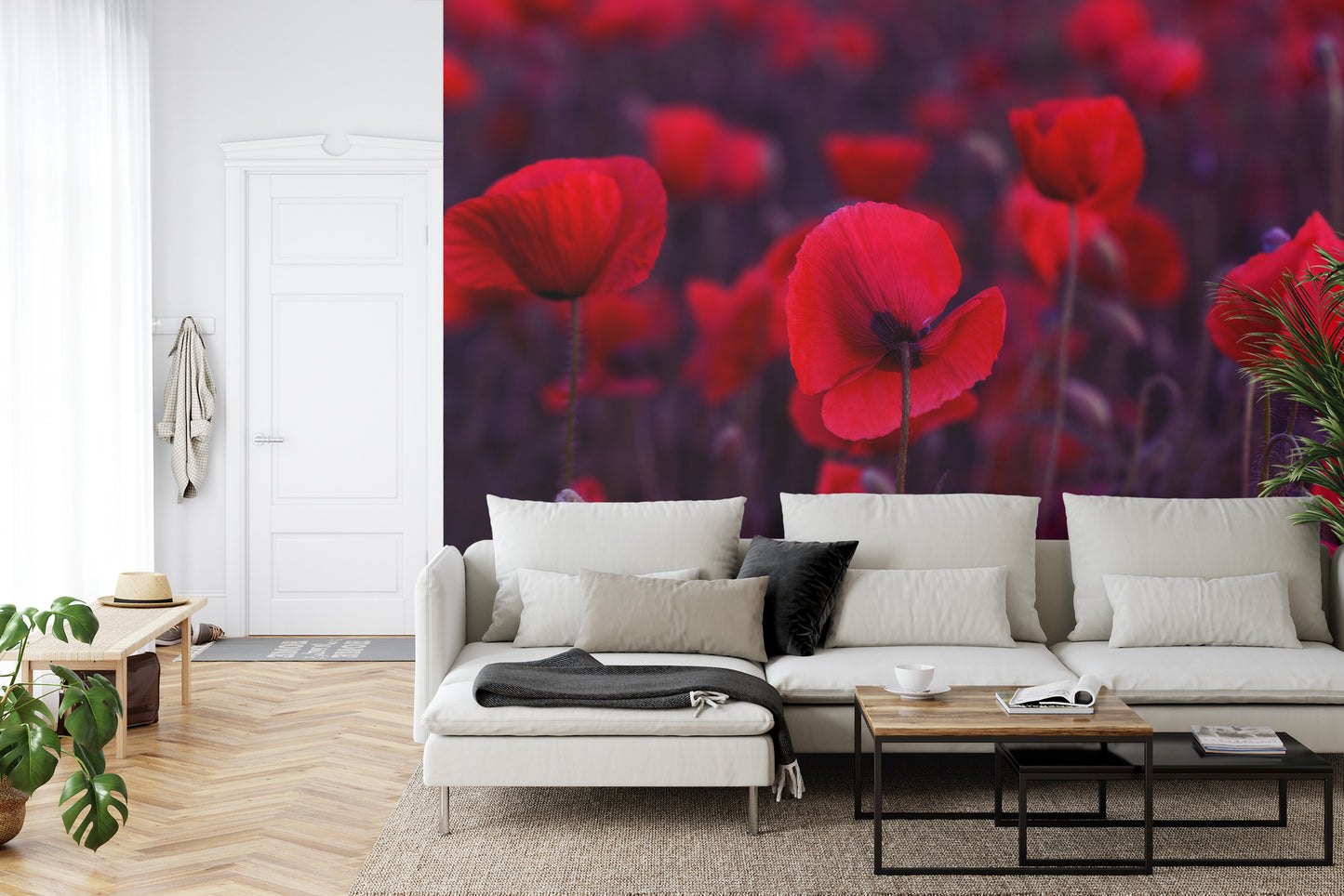 Fototapete Wilde Rote Mohnblumen