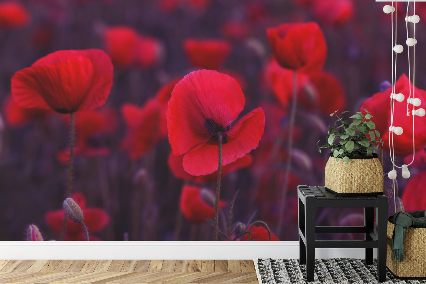 Fototapete Wilde Rote Mohnblumen