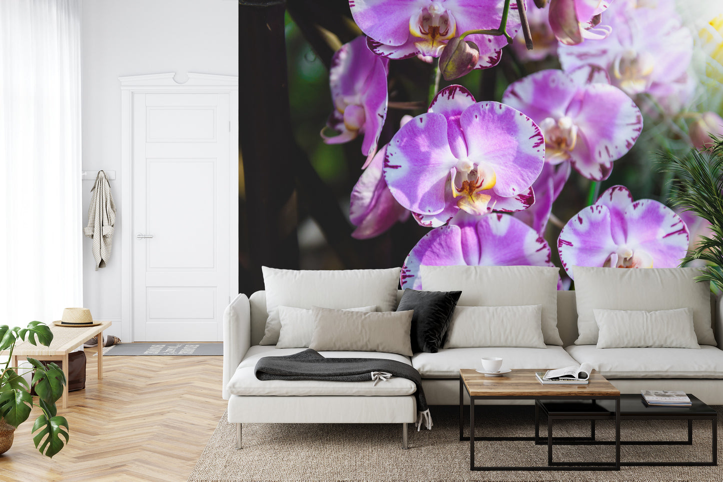 Fototapete Schöne Orchideen