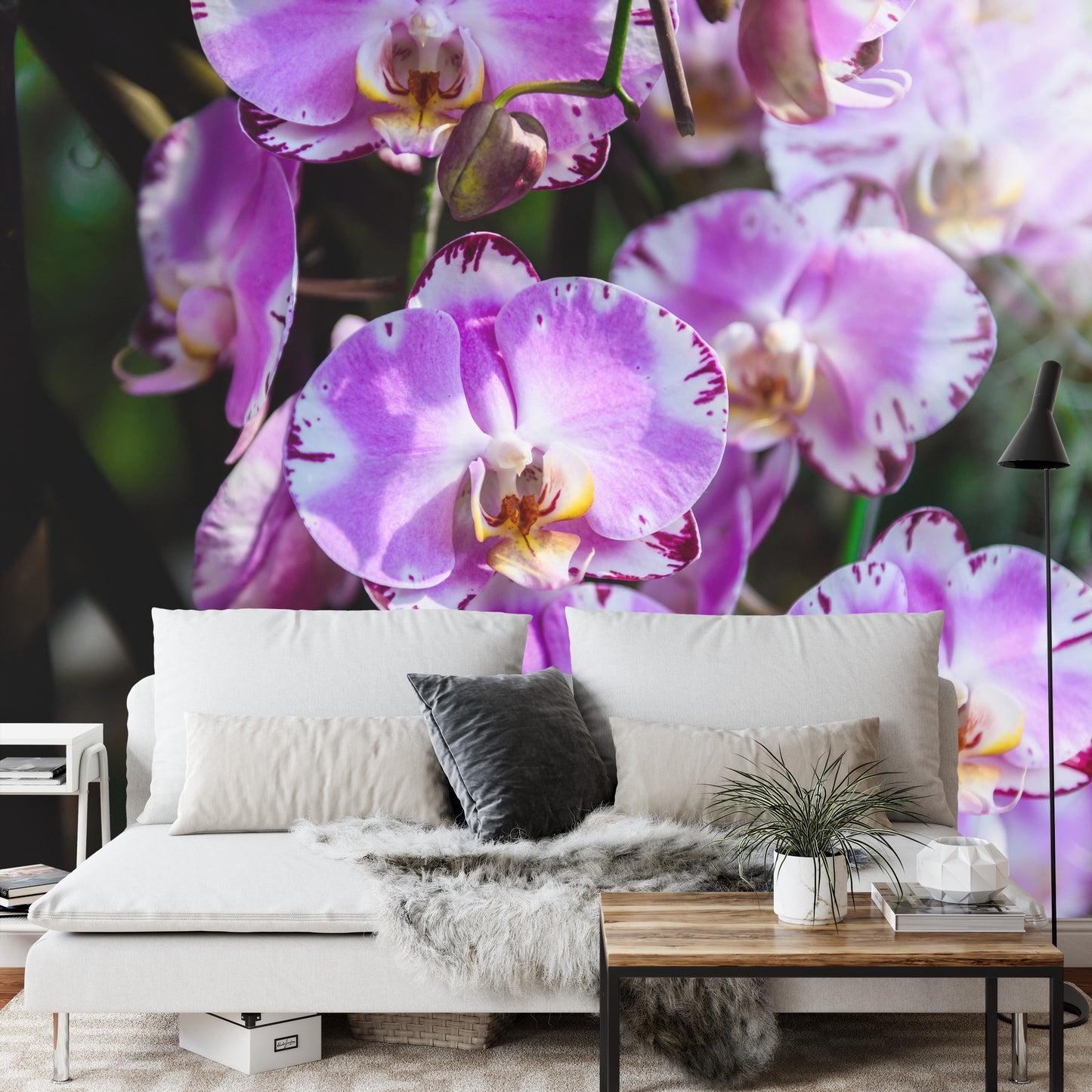 Fototapete Schöne Orchideen