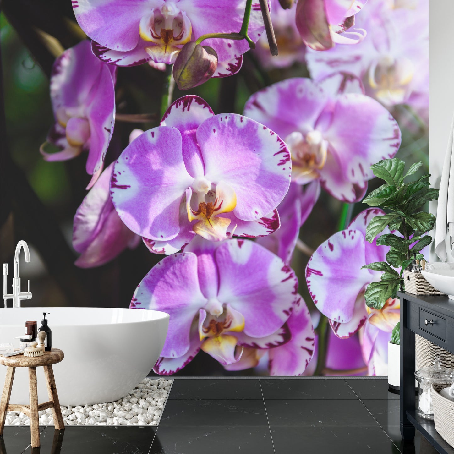 Fototapete Schöne Orchideen