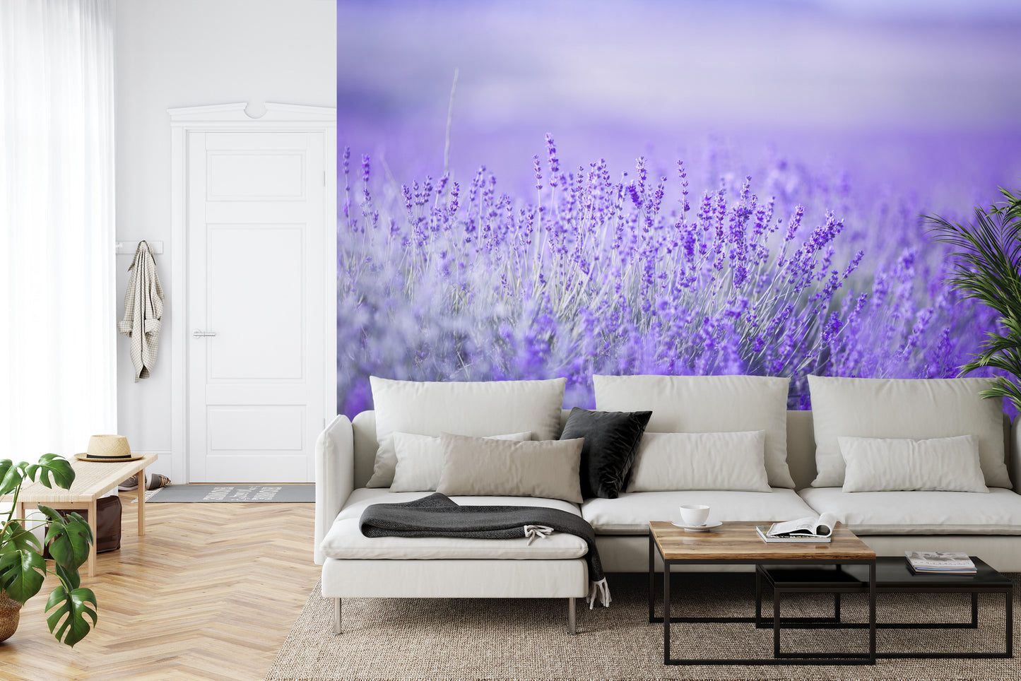 Fototapete Lavendel Blumen