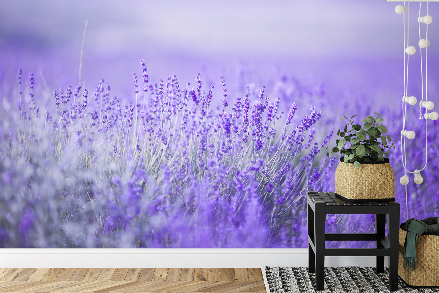 Fototapete Lavendel Blumen