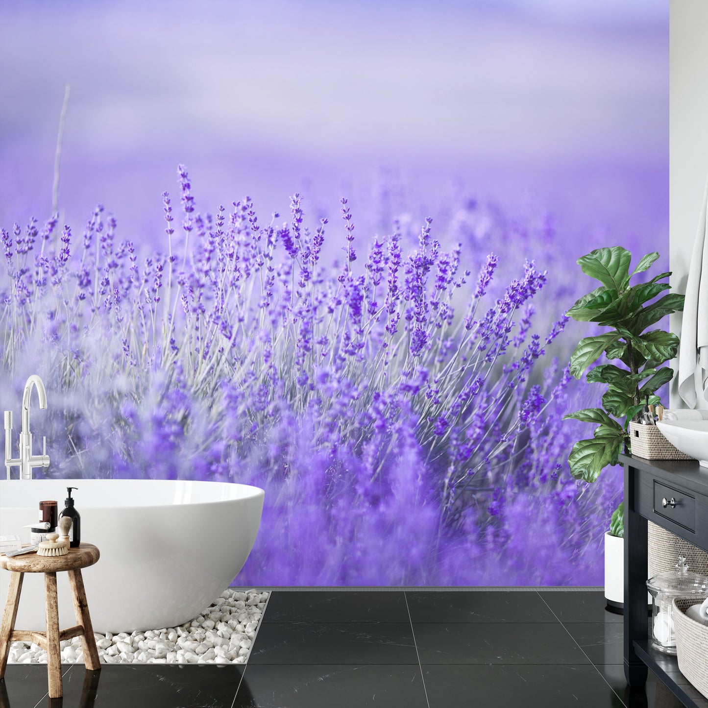 Fototapete Lavendel Blumen