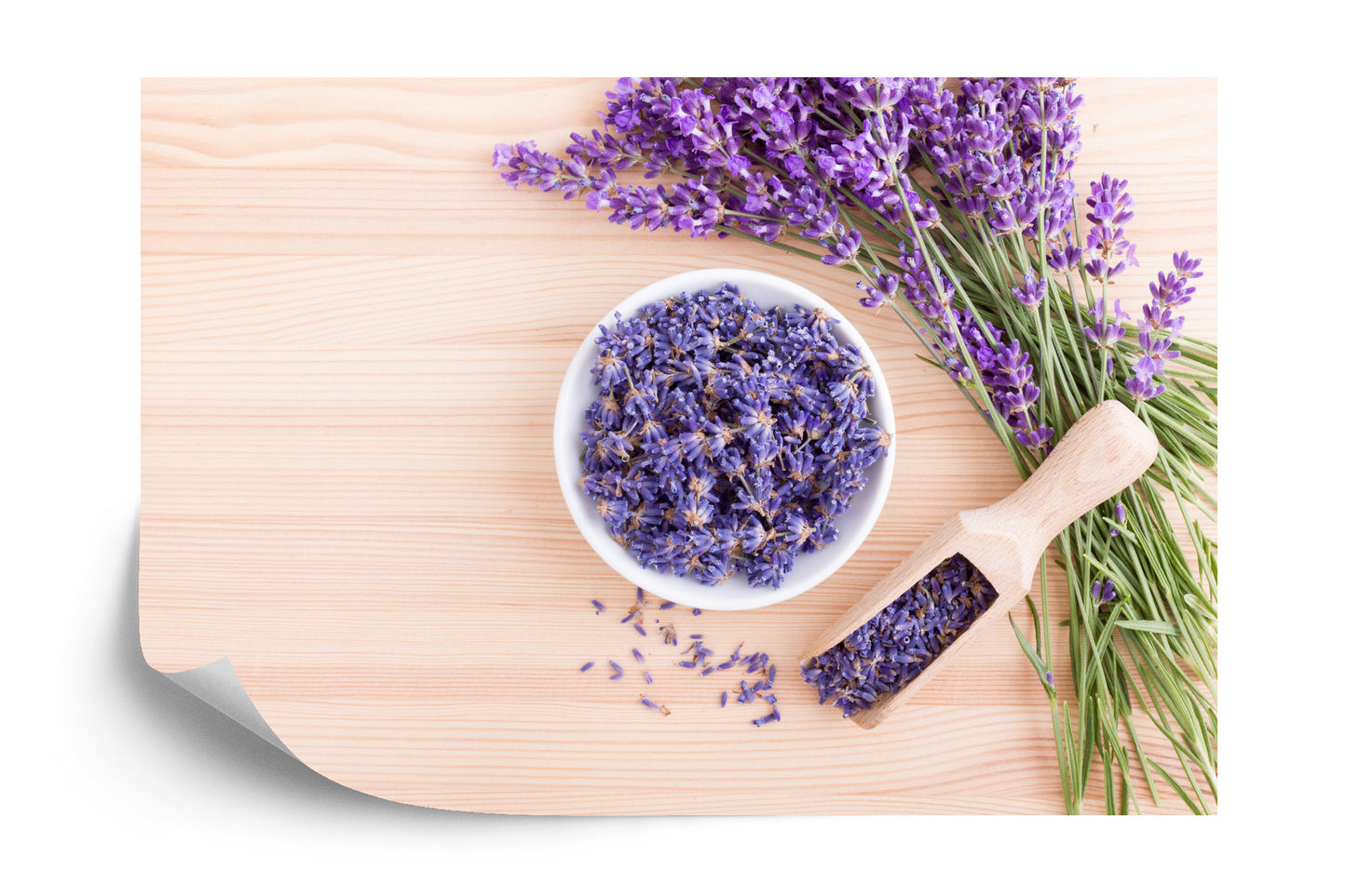 Fototapete Lavendel Blumen