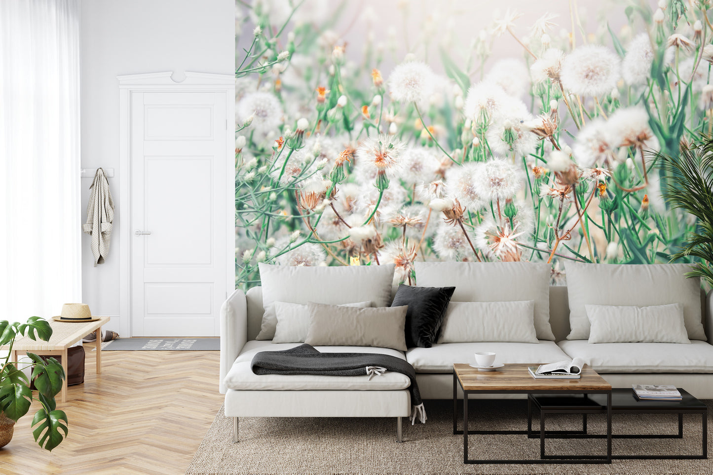 Fototapete Pusteblume