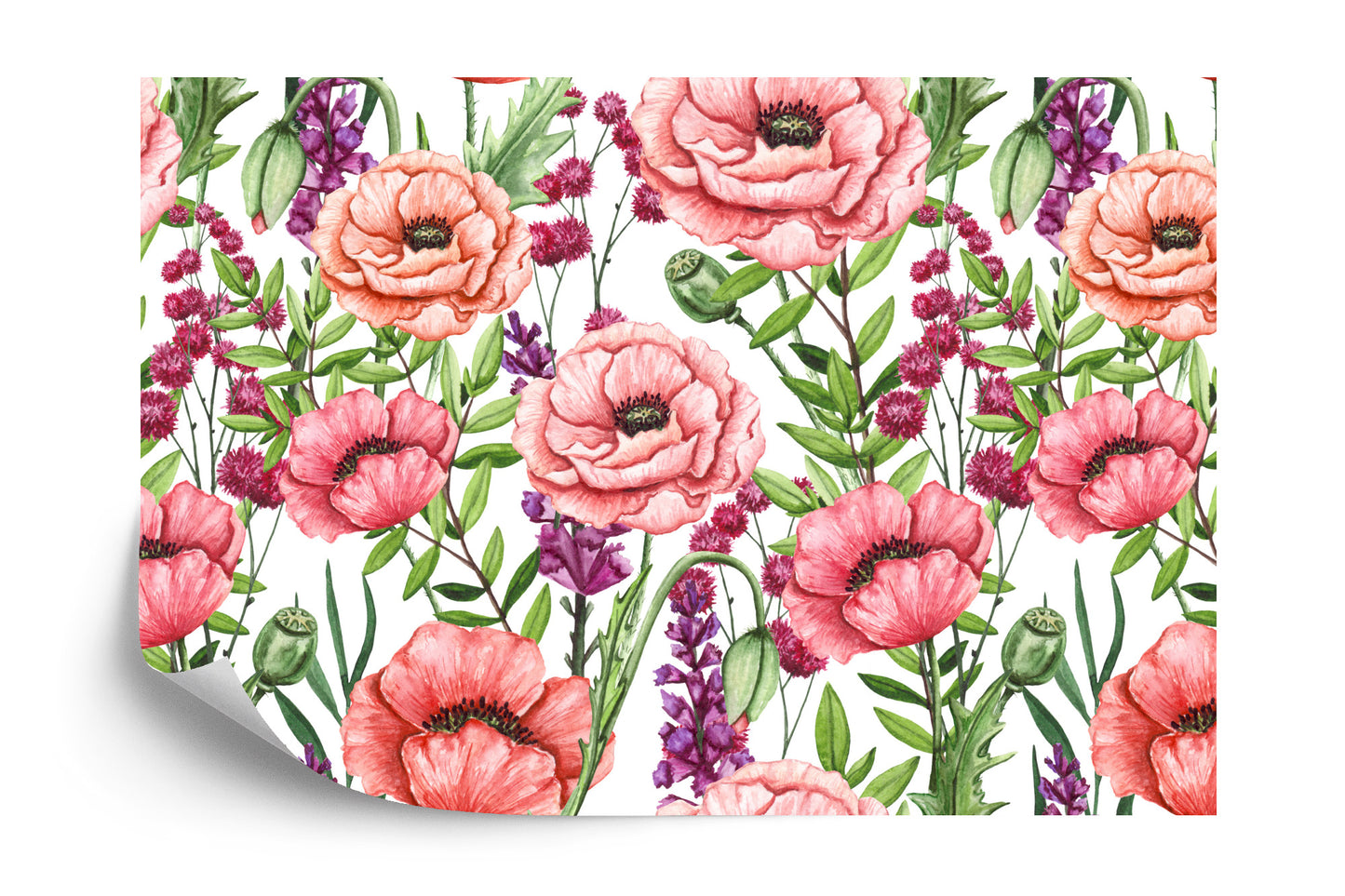 Fototapete Mohnblumen Aquarell