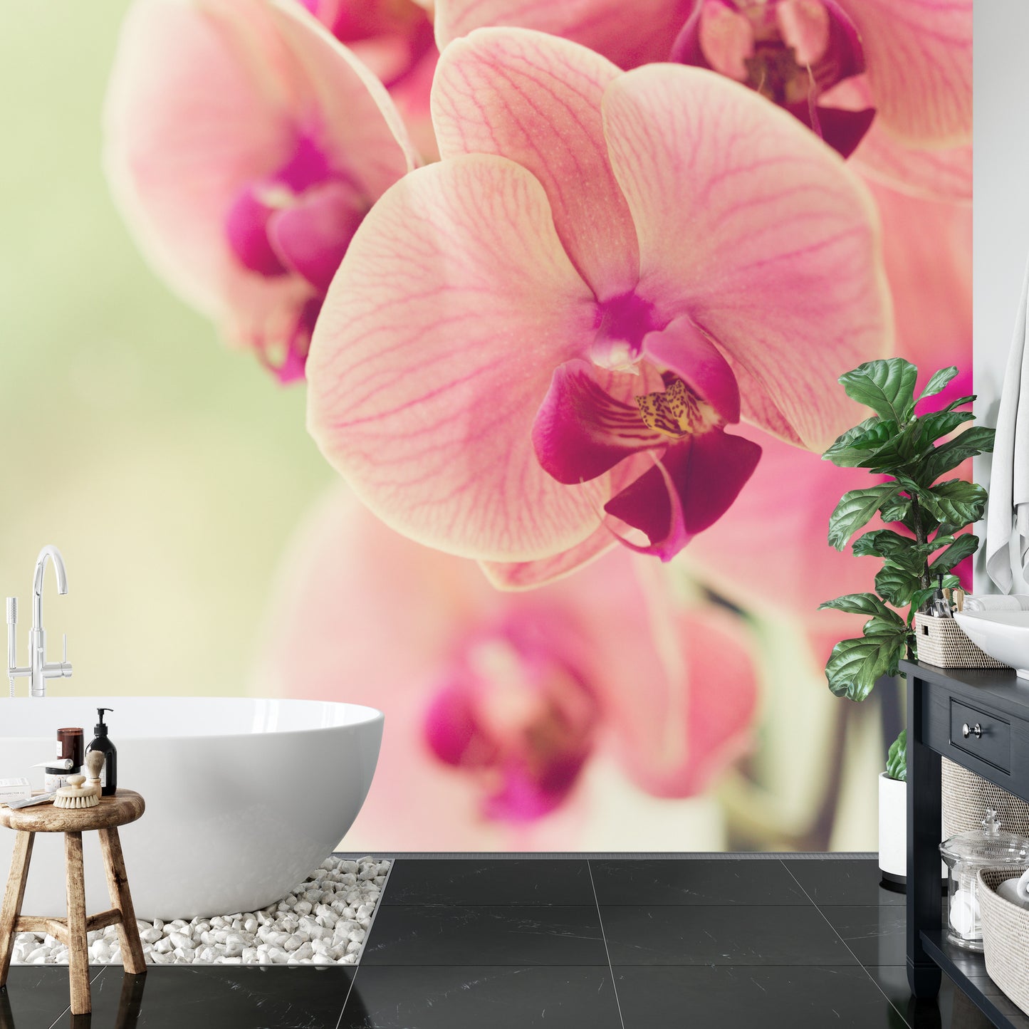 Fototapete Schöne Orchidee