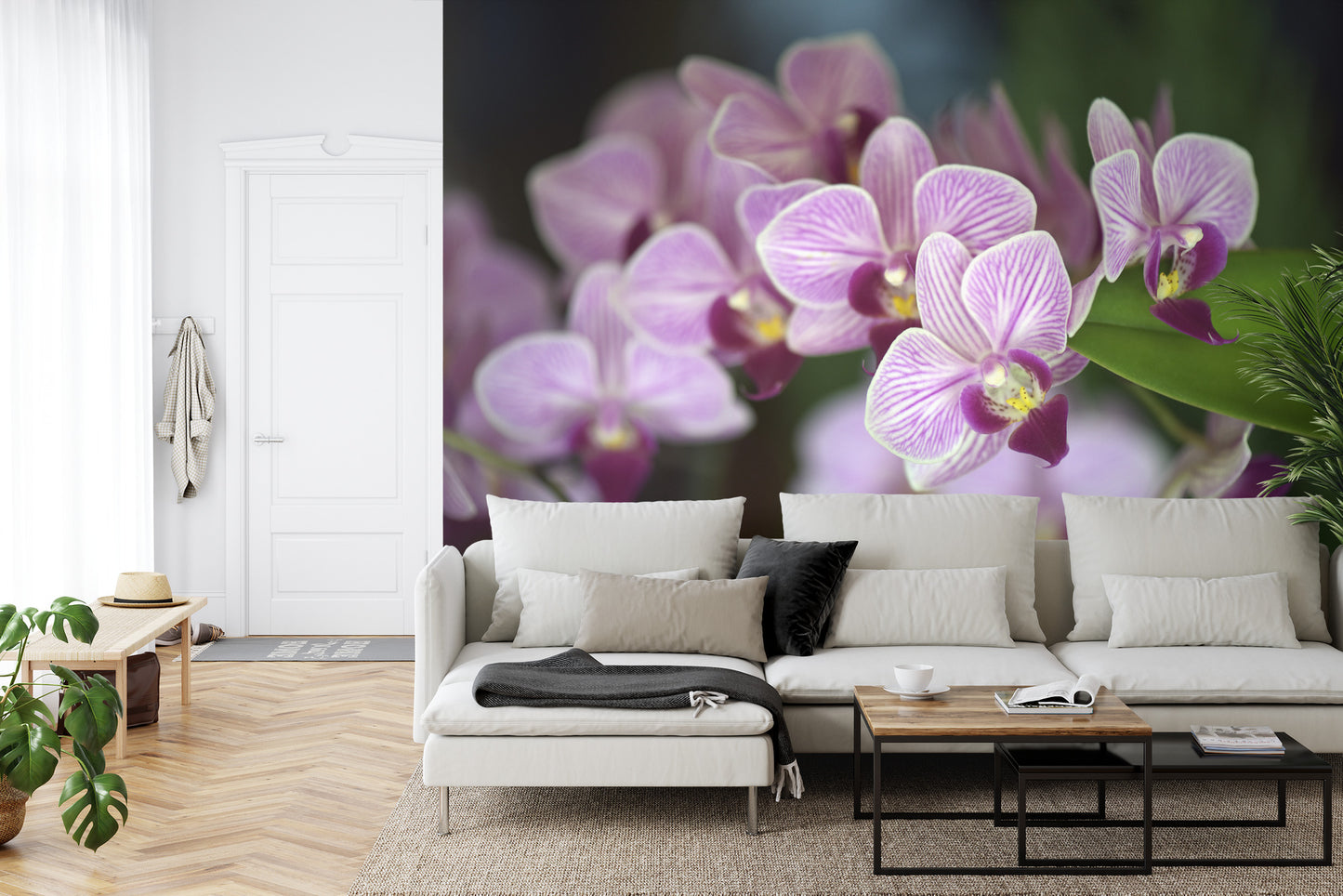 Fototapete Schöne Orchideen