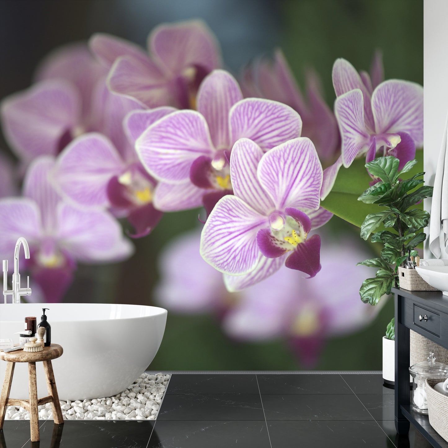 Fototapete Schöne Orchideen