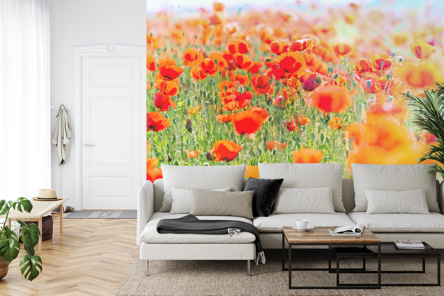 Fototapete Feld Der Roten Mohnblumen
