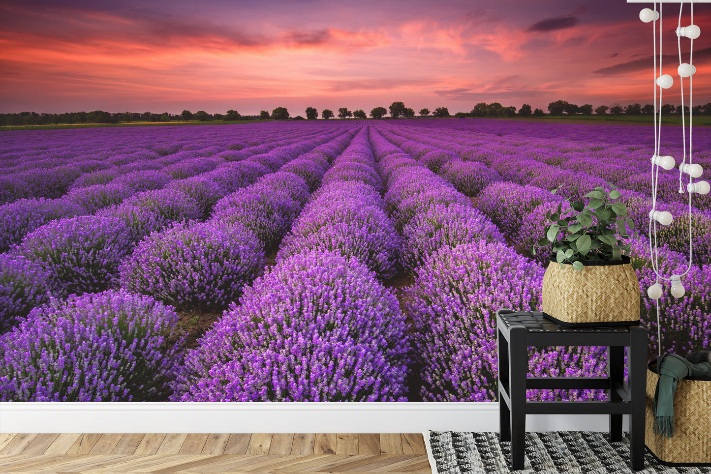 Fototapete Lavendelfeld