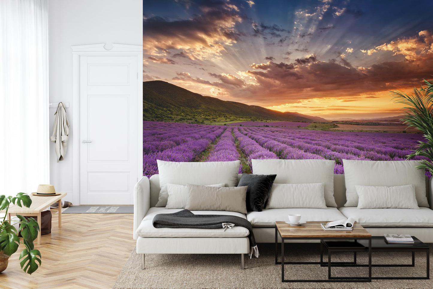 Fototapete Land Feld Lavendel