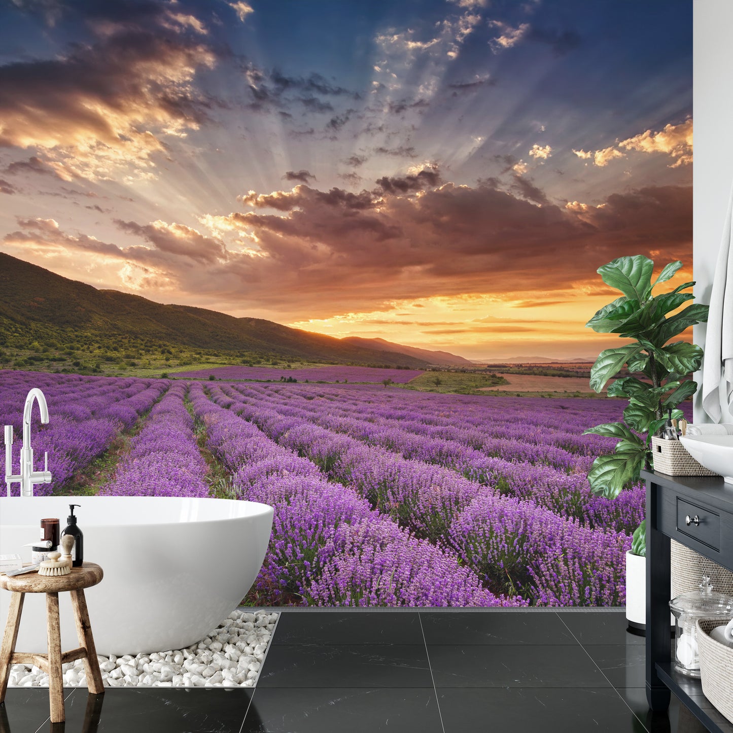 Fototapete Land Feld Lavendel