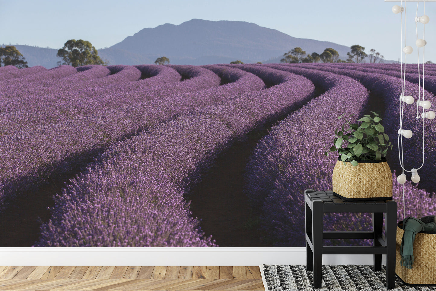 Fototapete Land Feld Lavendel