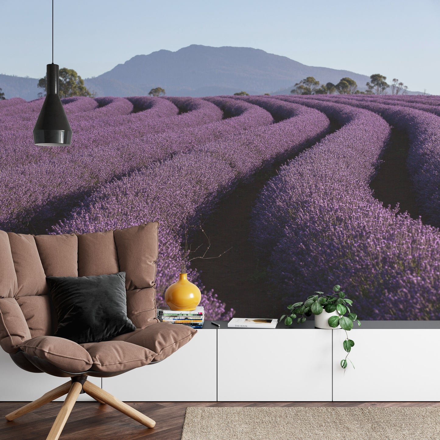 Fototapete Land Feld Lavendel