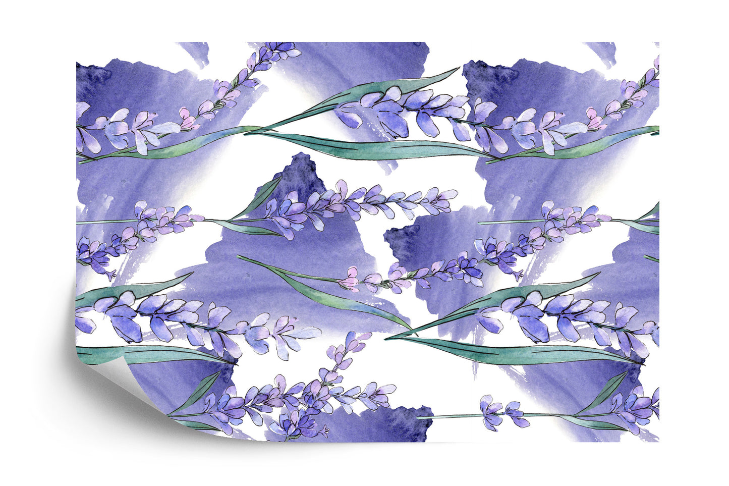 Fototapete Lavendel Blumen
