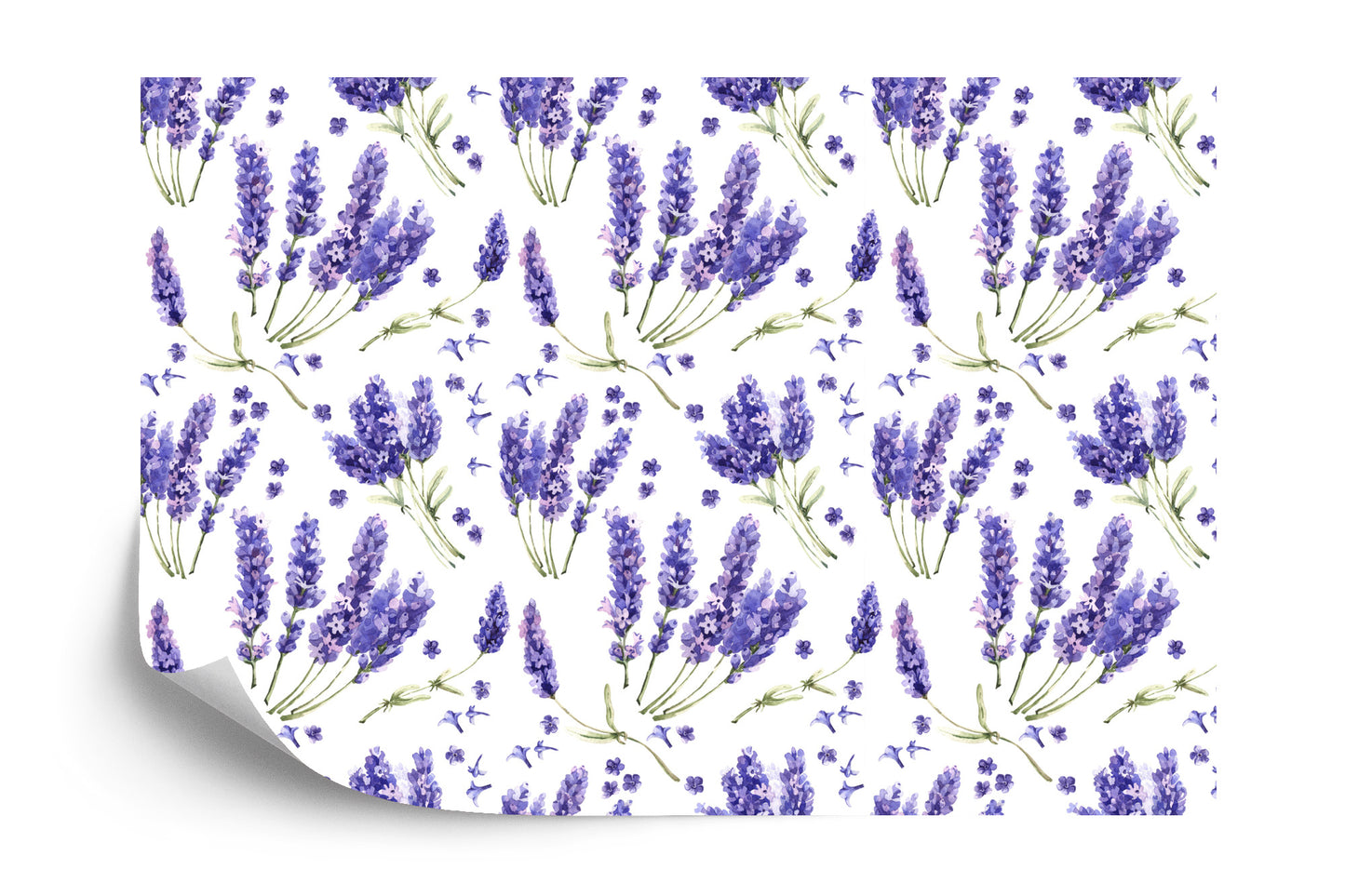 Fototapete Lavendel Blumen