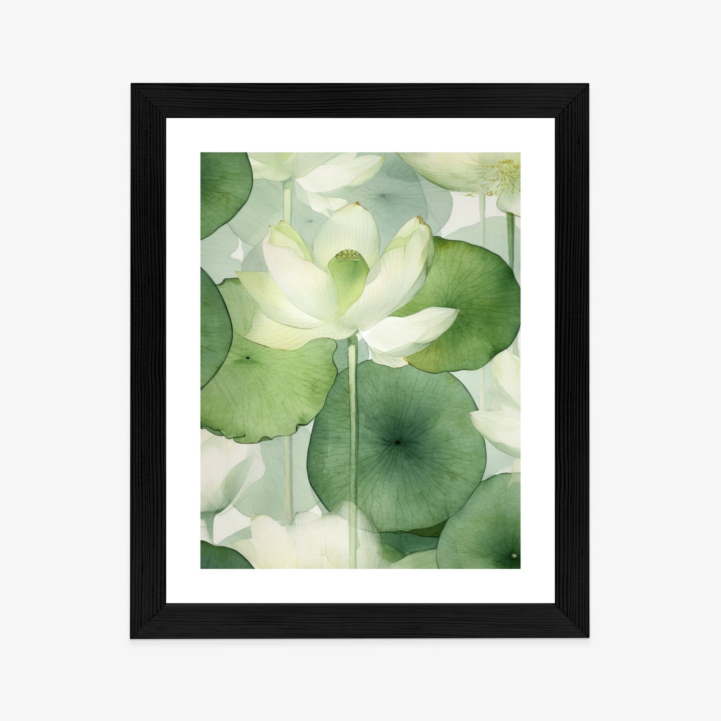 Poster Weiße Lotusblume Und Grüne Blätter Aquarell Rahmen Holz Mit Passepartout Farbe Natürlich