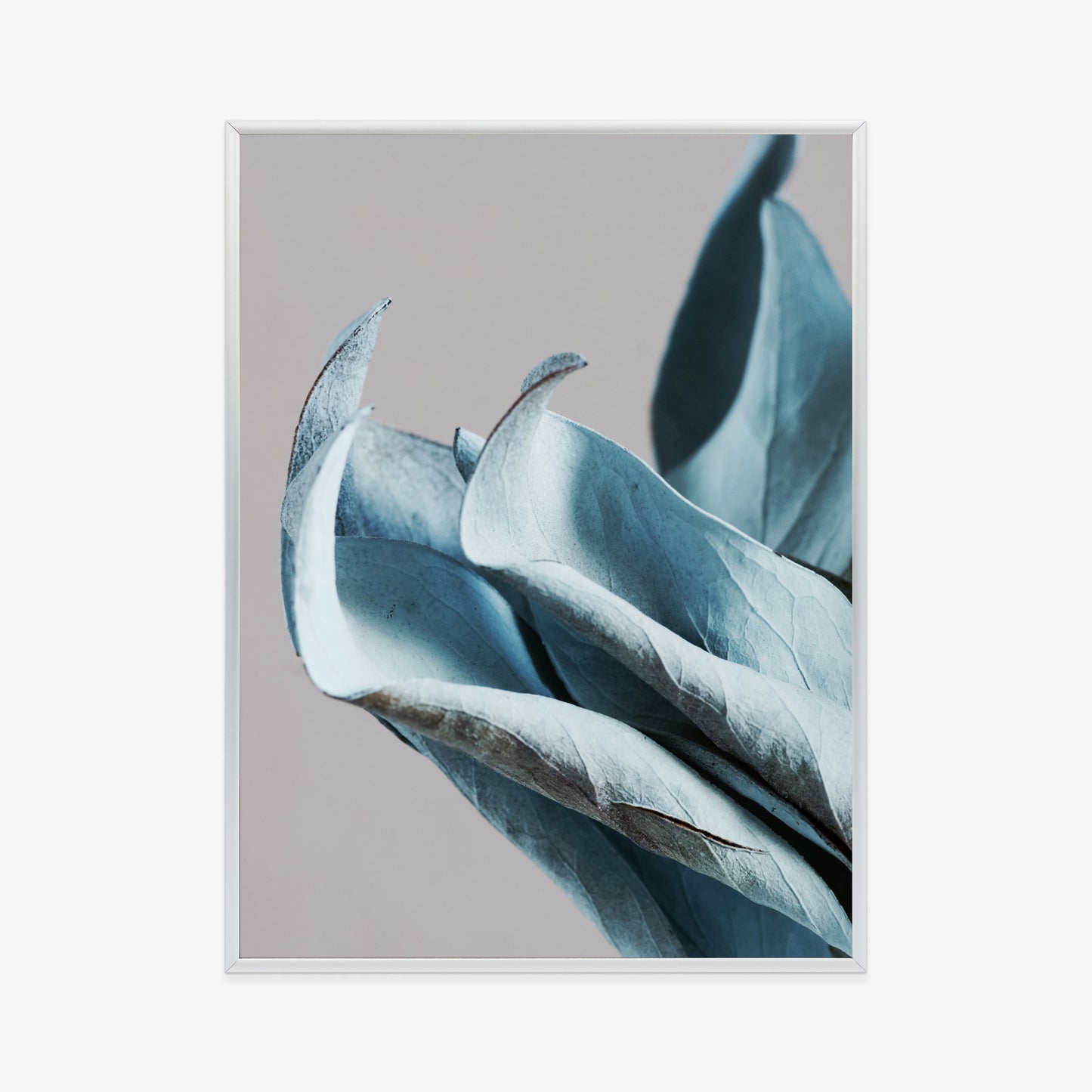 Poster Blaue Blätter Auf Grauem Hintergrund