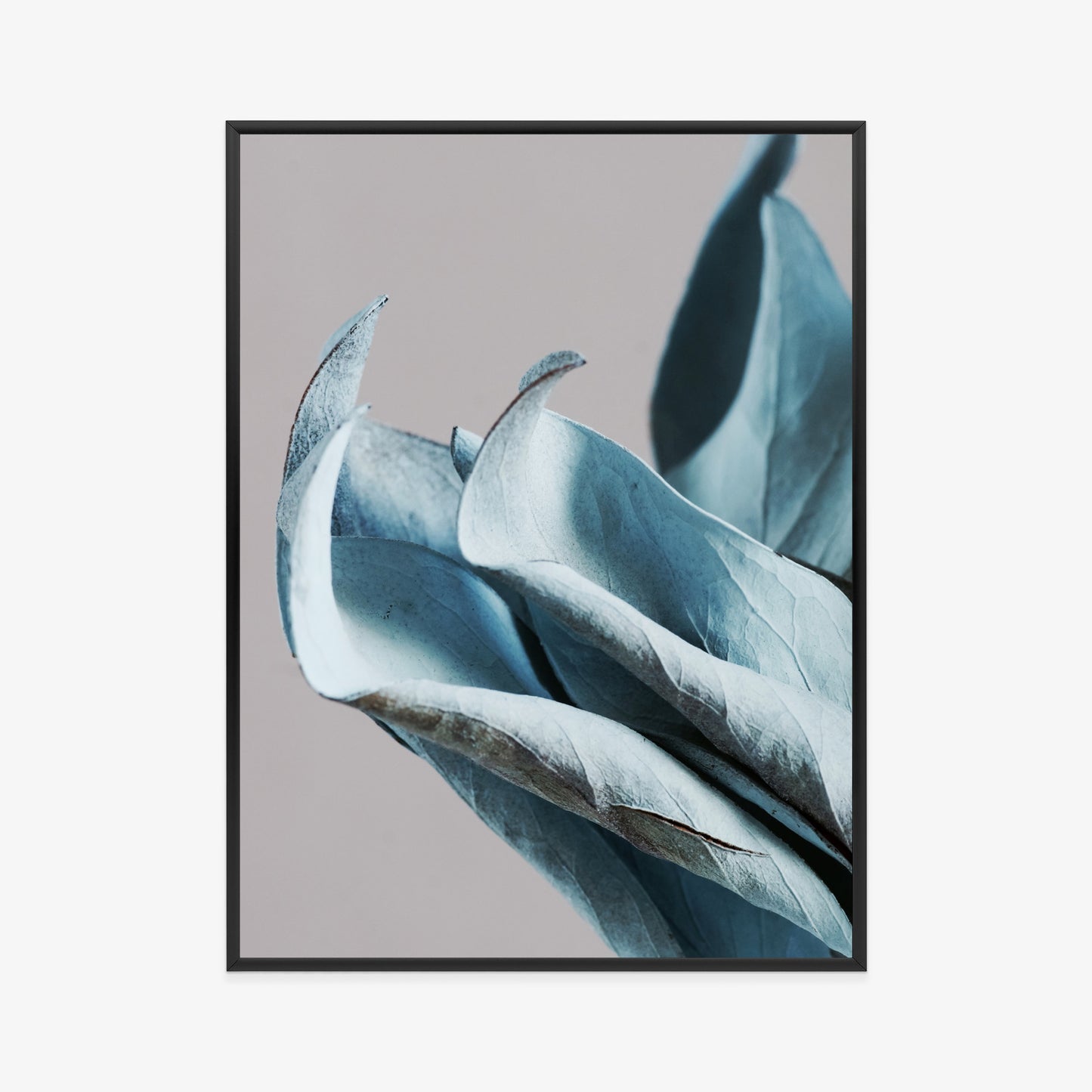 Poster Blaue Blätter Auf Grauem Hintergrund