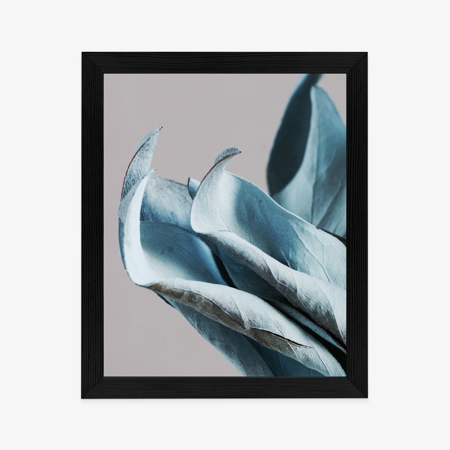 Poster Blaue Blätter Auf Grauem Hintergrund