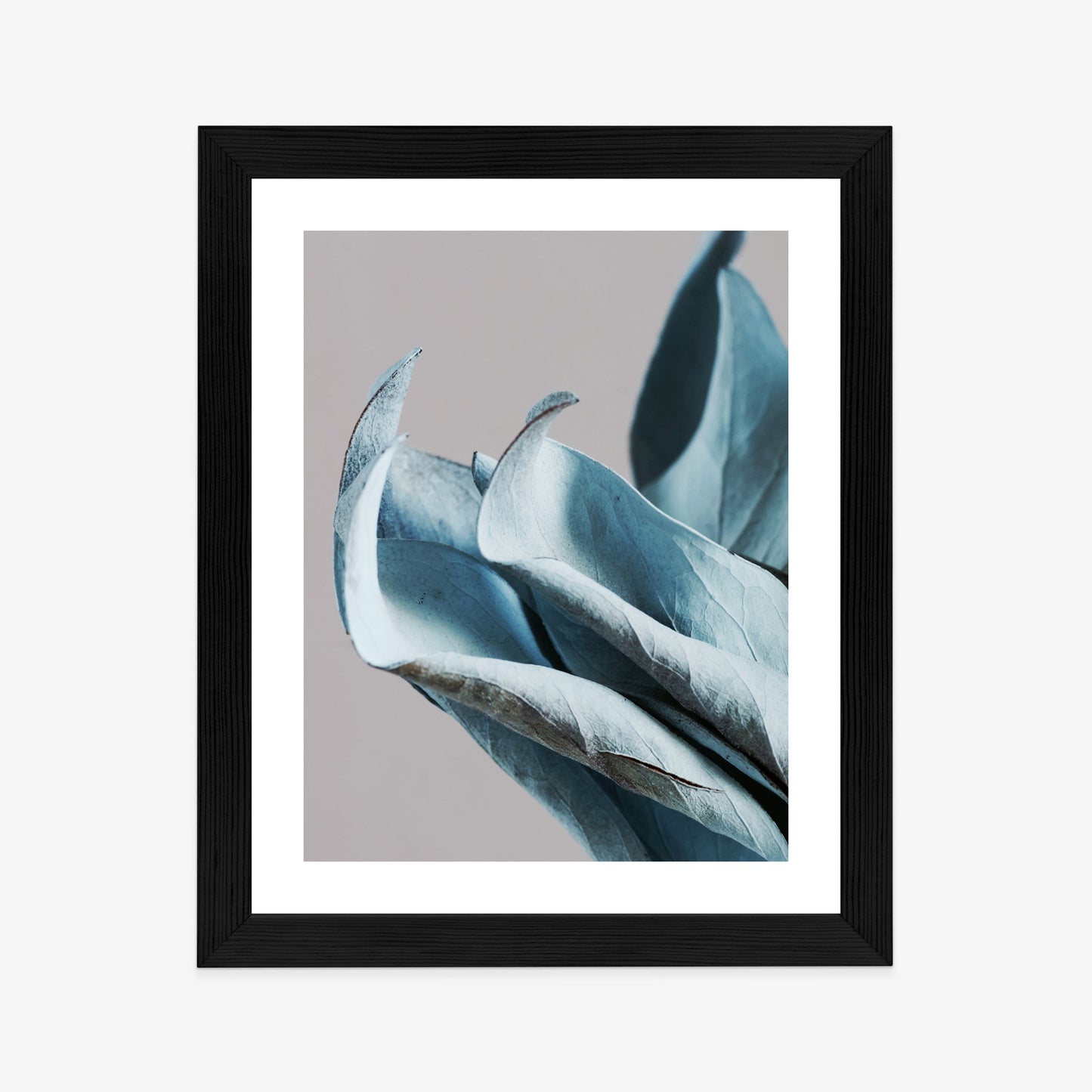 Poster Blaue Blätter Auf Grauem Hintergrund