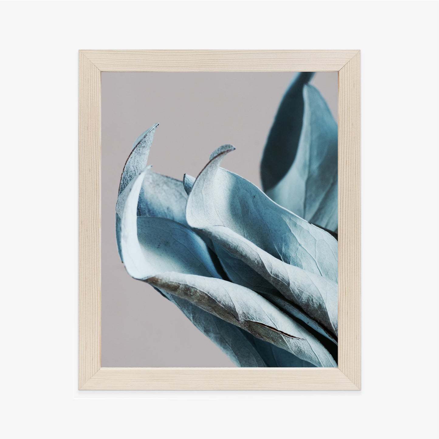 Poster Blaue Blätter Auf Grauem Hintergrund