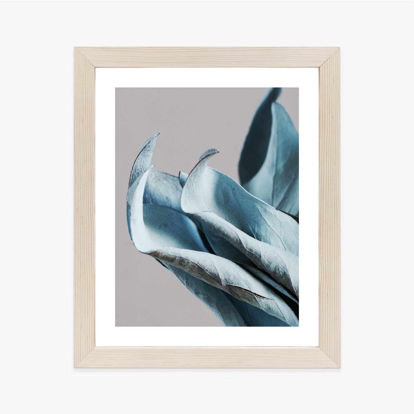 Poster Blaue Blätter Auf Grauem Hintergrund
